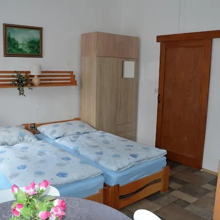 U Zamku 게스트하우스 Brandys nad Orlici